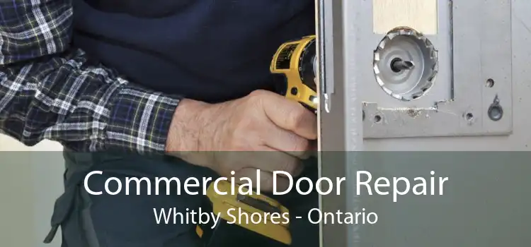 Commercial Door Repair Whitby Shores - Ontario