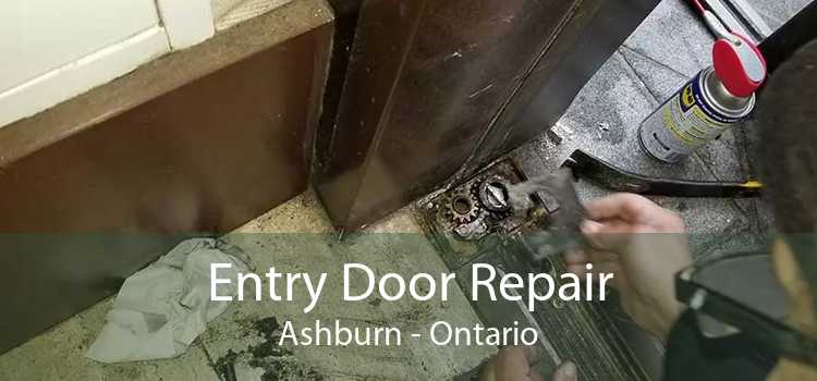 Entry Door Repair Ashburn - Ontario