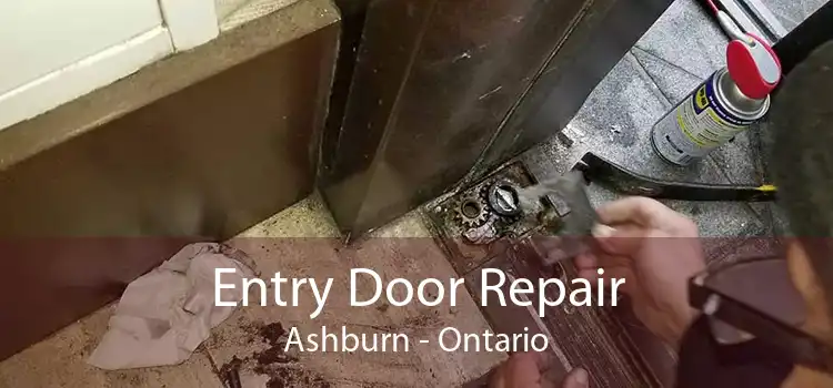 Entry Door Repair Ashburn - Ontario