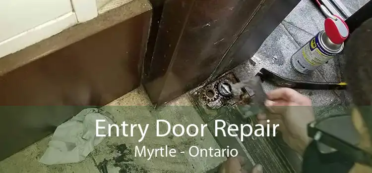 Entry Door Repair Myrtle - Ontario
