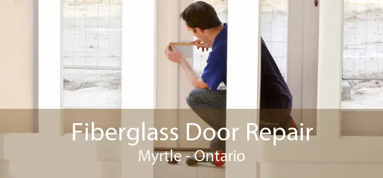 Fiberglass Door Repair Myrtle - Ontario