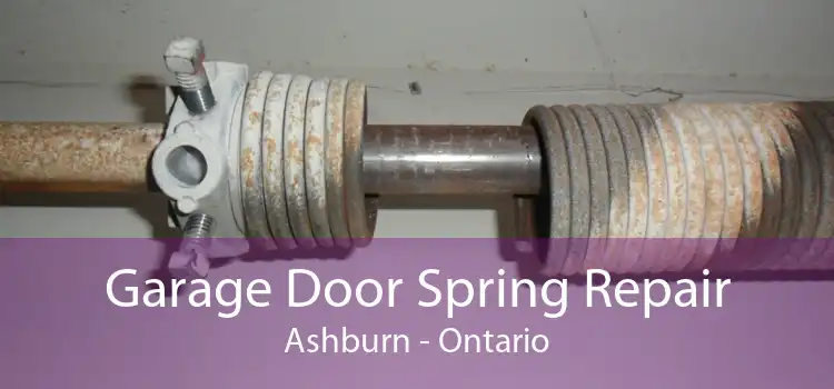 Garage Door Spring Repair Ashburn - Ontario