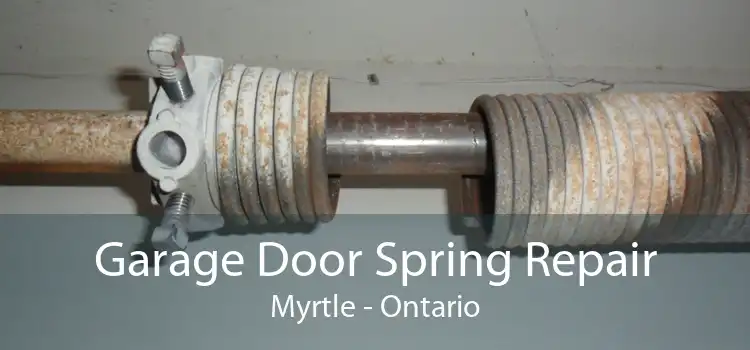 Garage Door Spring Repair Myrtle - Ontario