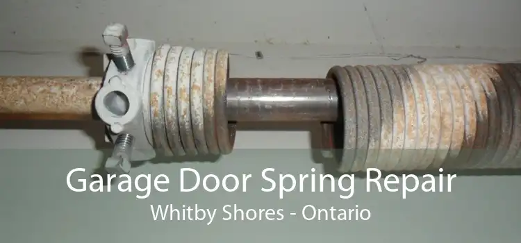 Garage Door Spring Repair Whitby Shores - Ontario