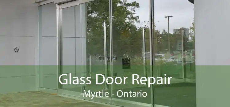 Glass Door Repair Myrtle - Ontario
