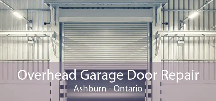 Overhead Garage Door Repair Ashburn - Ontario