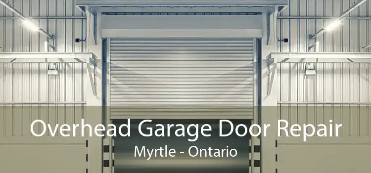 Overhead Garage Door Repair Myrtle - Ontario