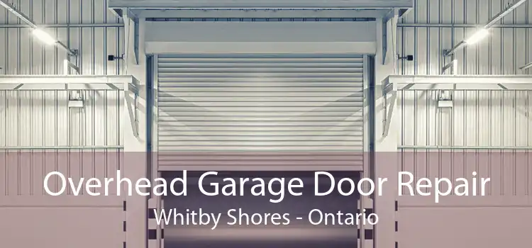 Overhead Garage Door Repair Whitby Shores - Ontario