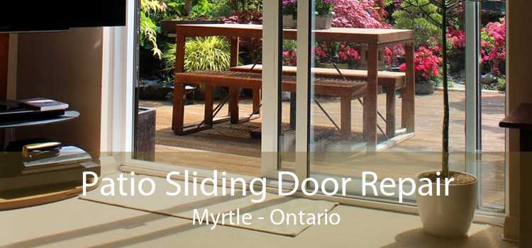 Patio Sliding Door Repair Myrtle - Ontario