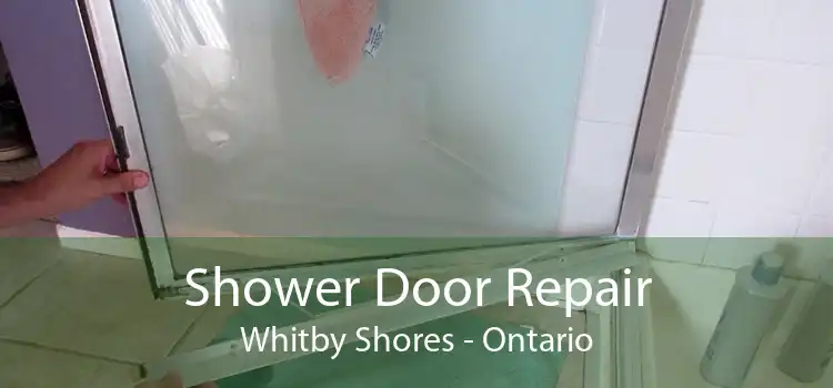 Shower Door Repair Whitby Shores - Ontario