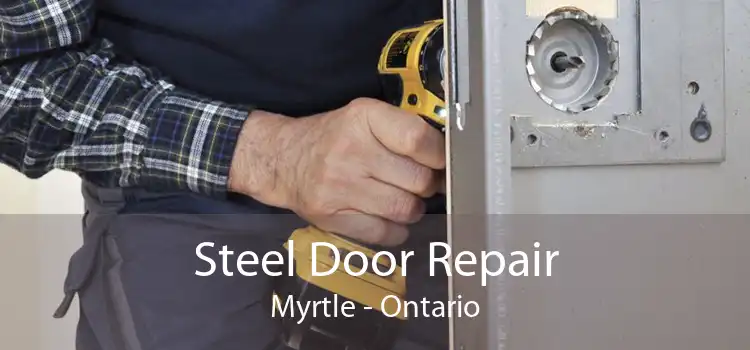 Steel Door Repair Myrtle - Ontario