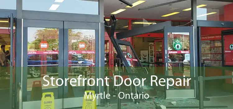 Storefront Door Repair Myrtle - Ontario