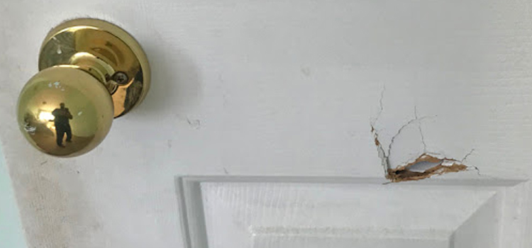 interior door hole repair Myrtle